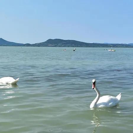 别墅 Exclusive Beachfront *