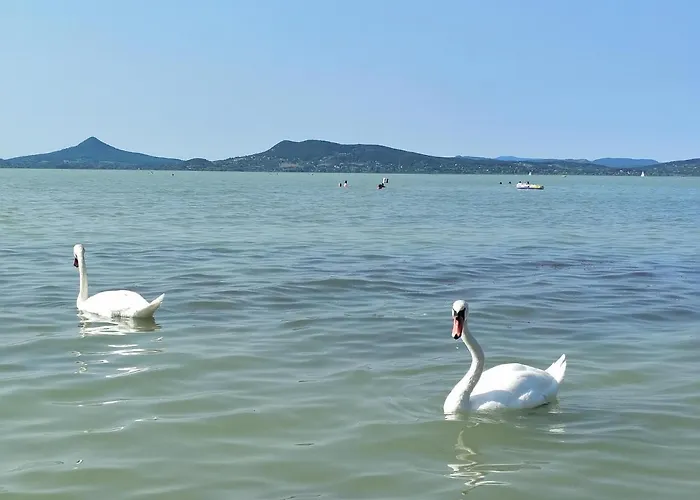 Villa Exclusive Beachfront *